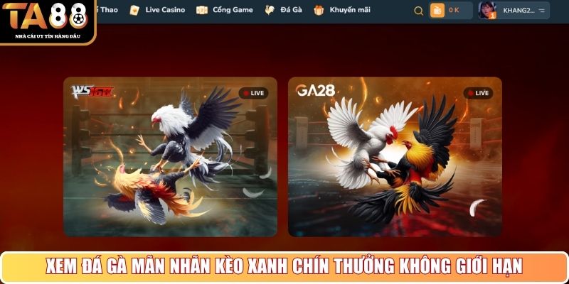 Xem đá gà mãn nhãn kèo xanh chín